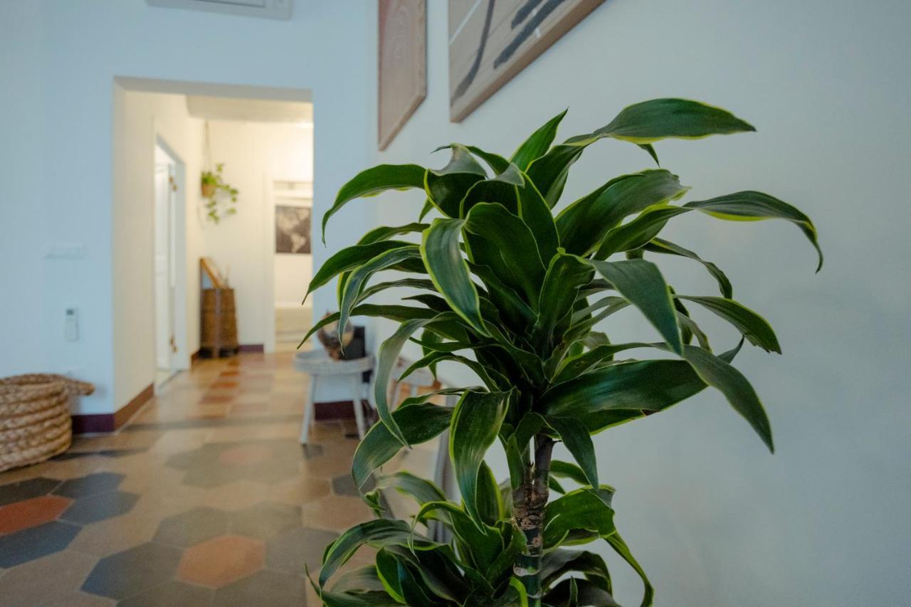 Domus Superior Navona - Pantheon Apartment โรม ภายนอก รูปภาพ